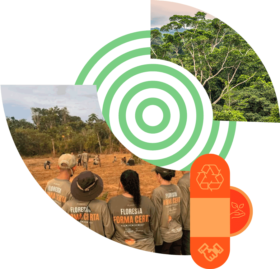 Forma Certa Forest project team and planting preparations in the Amazon